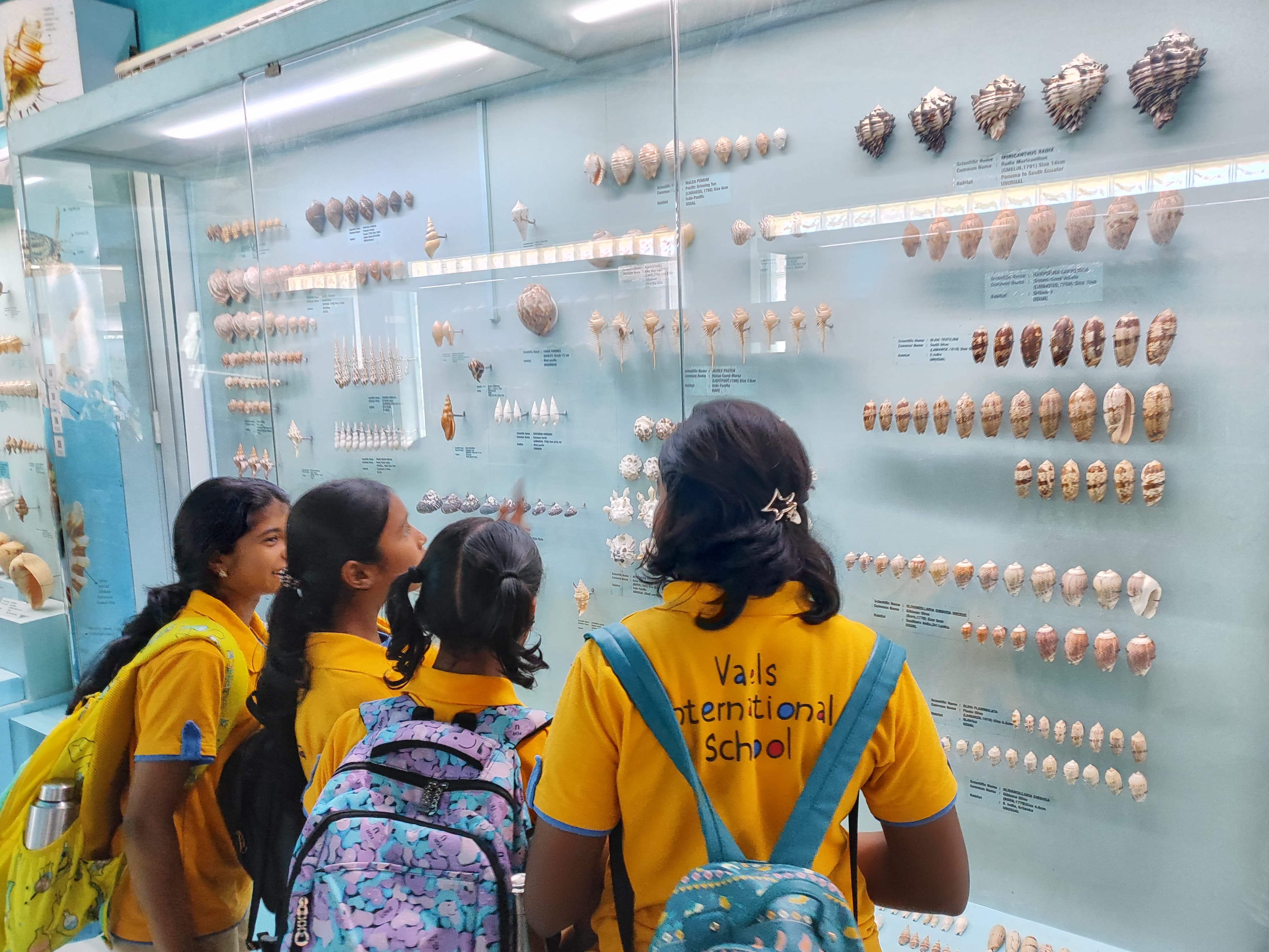 Vaels students at a museum exploring natural science exhibits