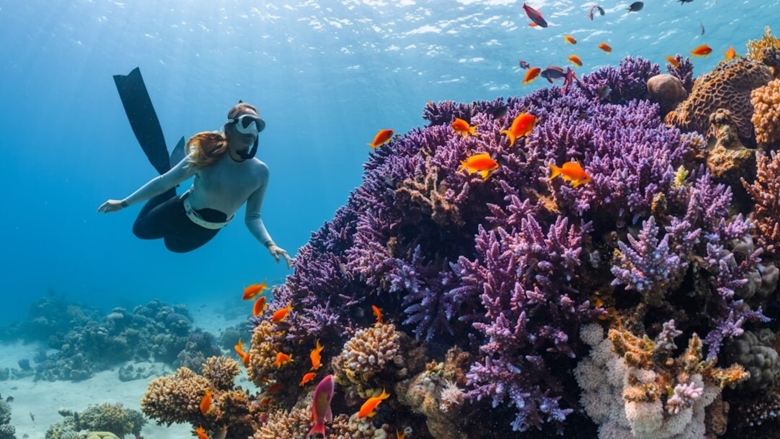 Scuba diving over vivid coral reefs