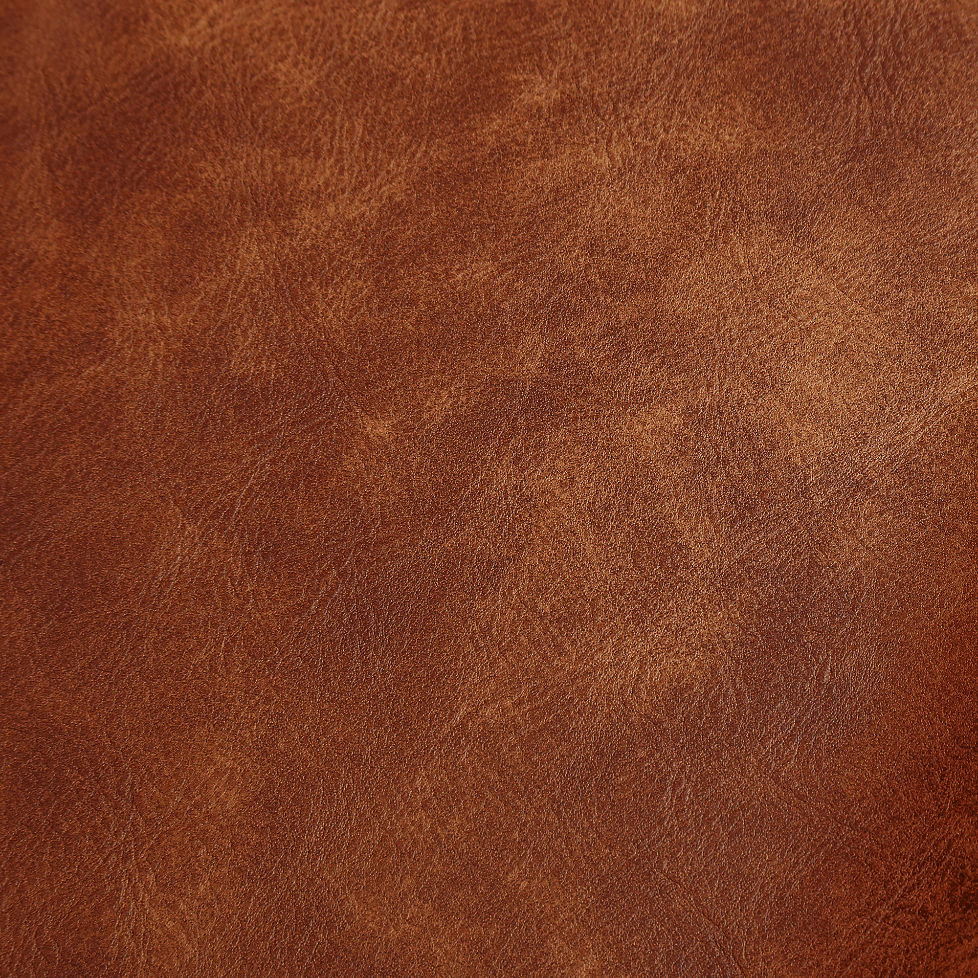 Ranipet's renowned leather and tanning industry