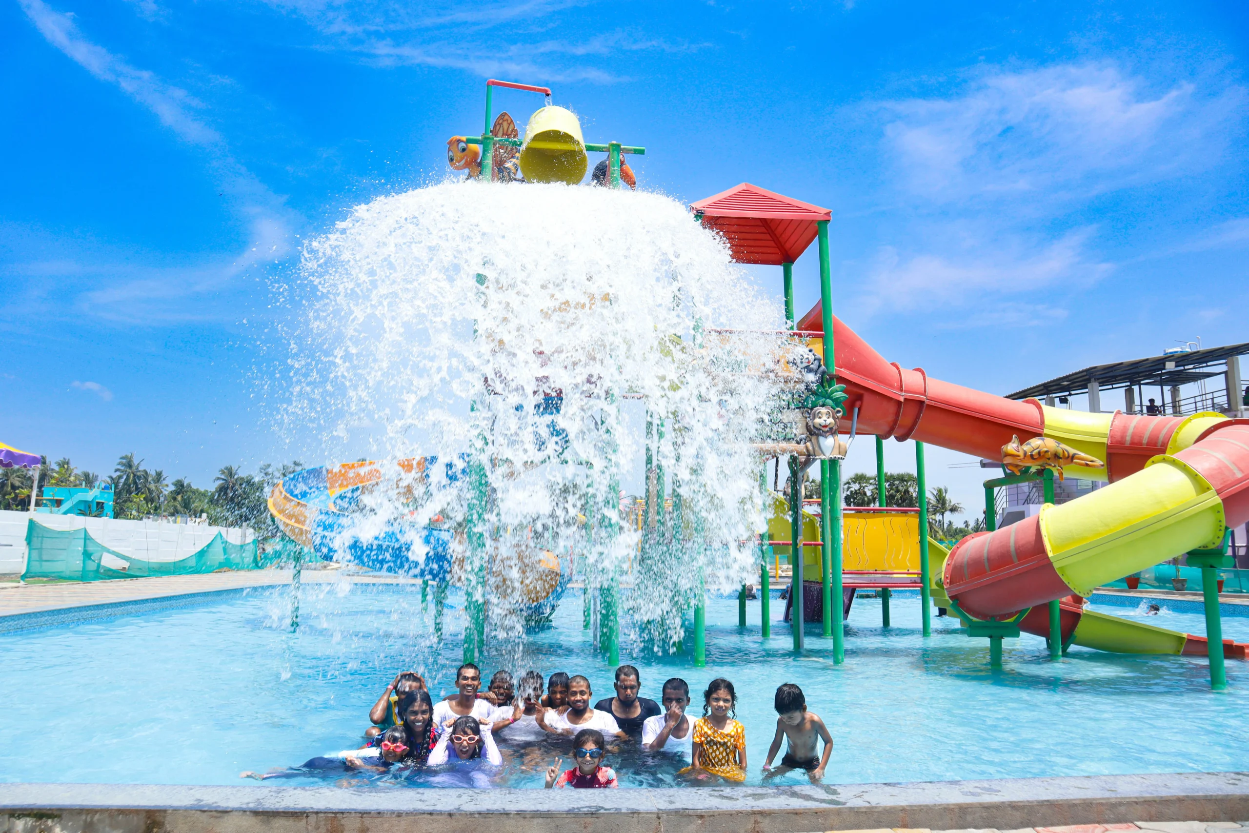 Dive Into Summer Fun